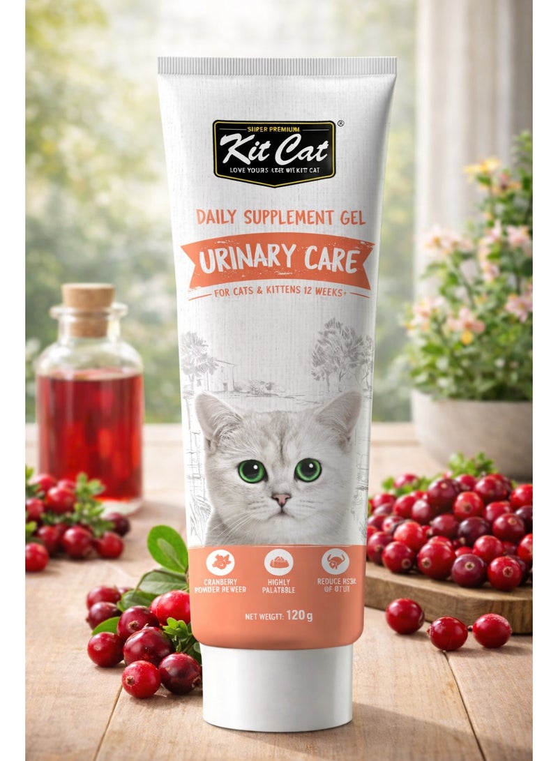 كيت كات سوبر بريميوم جل مكمل غذائي يومي (للعناية بالجهاز البولي) للقطط والكيتن 120 جرام - Image 1